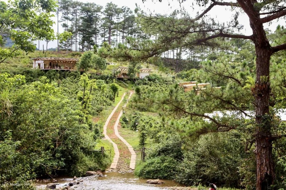 chi-phi-du-lich-da-lat