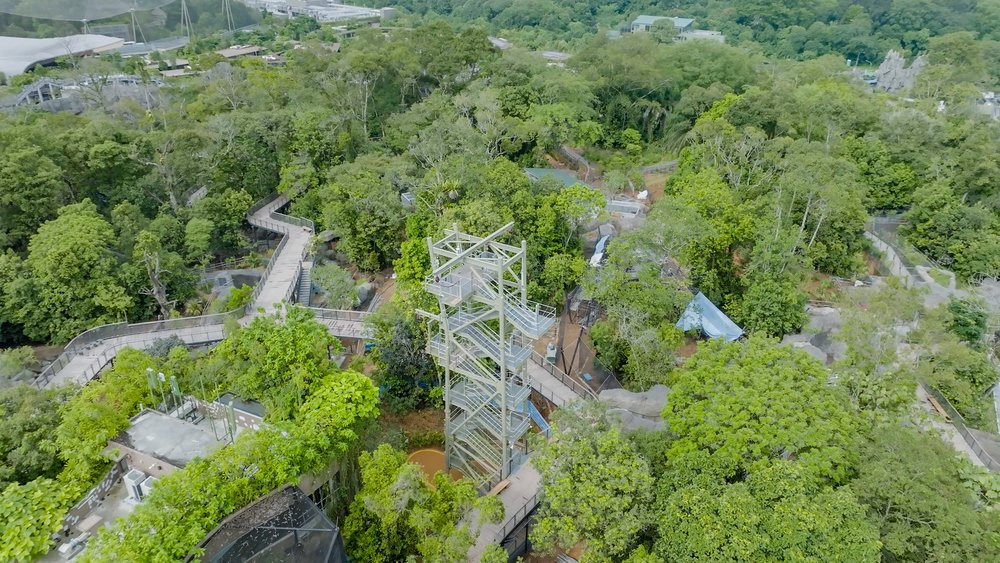 Mandai Rainforest Wild Asia - Aerial Shot of Canopy Jump