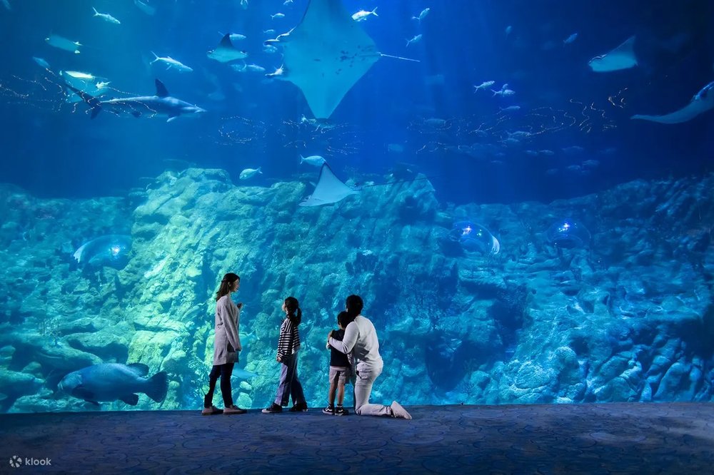 海洋公園必玩設施 , 海濱樂園-海洋奇觀, 香港海洋公園攻略