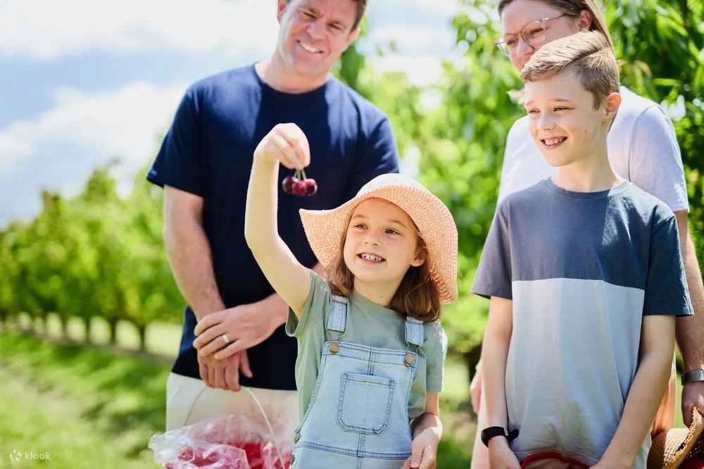 普芬比利蒸汽火車