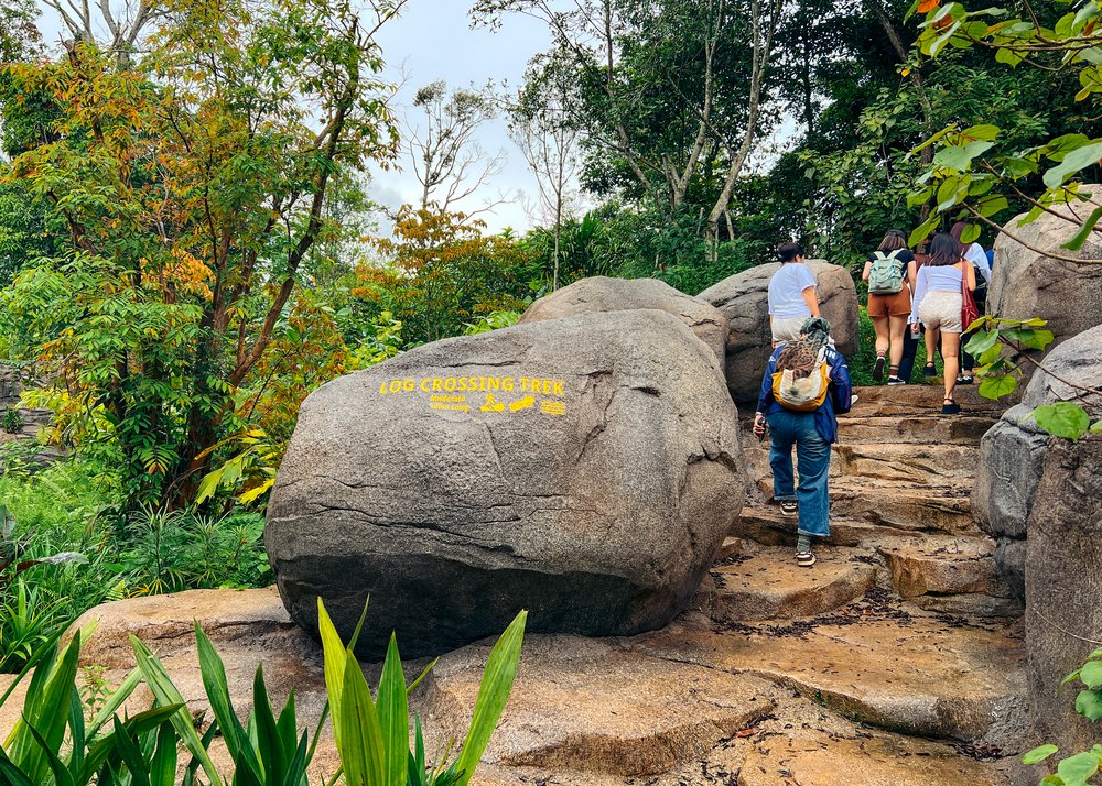 Mandai Rainforest Wild Asia - Forest Floor Entrance to Log Crossing Trek