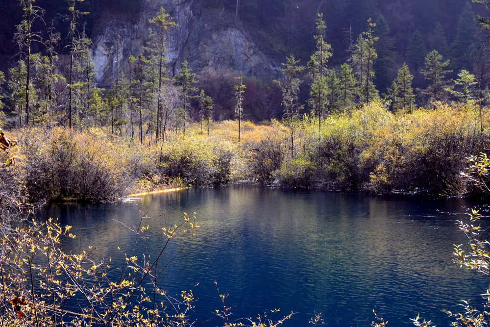 Giá Vé Tham Quan Cửu Trại Câu Bao Nhiêu?