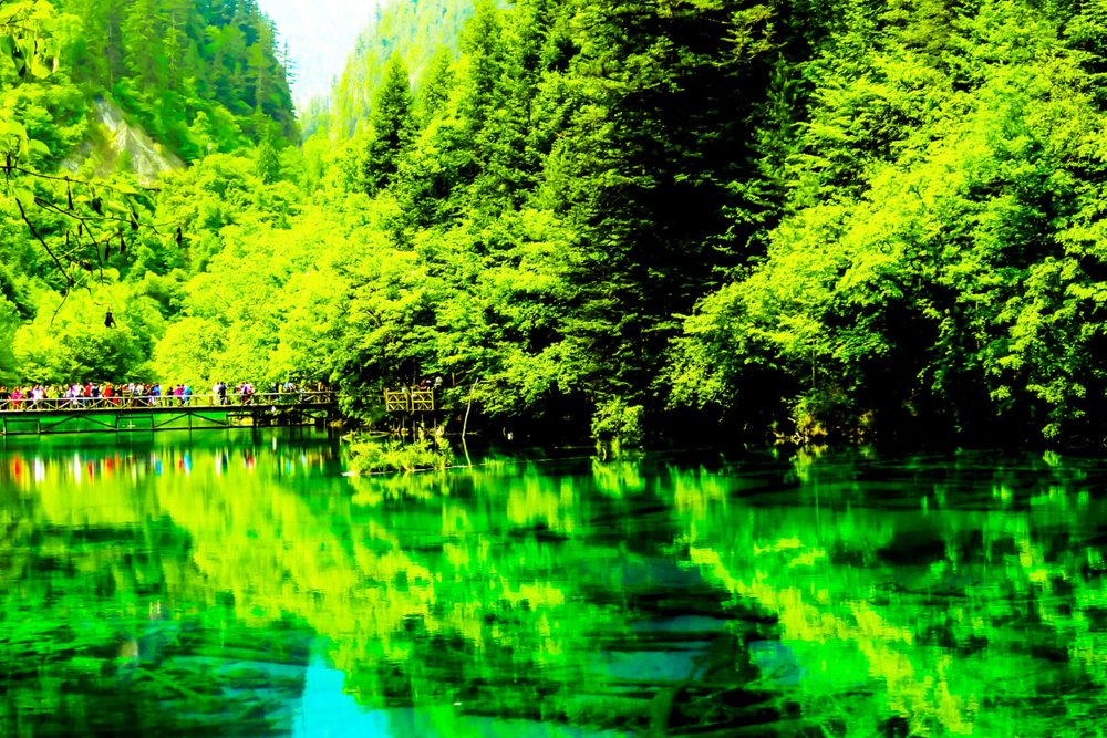 Mùa Xuân (Tháng 3 Đến Tháng 5): Sự Sống Bừng Tỉnh