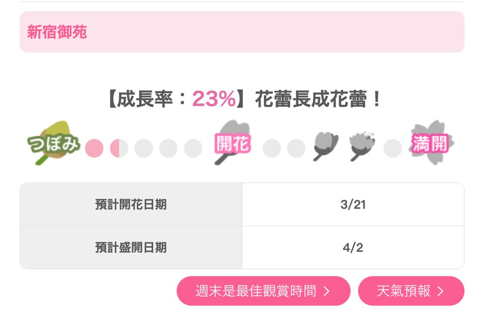 東京 新宿御苑 東京新宿御苑 東京櫻花 新宿御苑櫻花 東京賞櫻 新宿御苑賞櫻 東京櫻花2025 新宿御苑櫻花2025 東京賞櫻2025 新宿御苑賞櫻2025