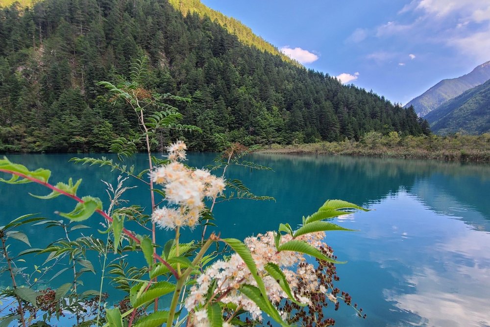 Tour Cao Cấp 3 Ngày Tham Quan Tứ Xuyên Thành Đô - Cửu Trại Câu 