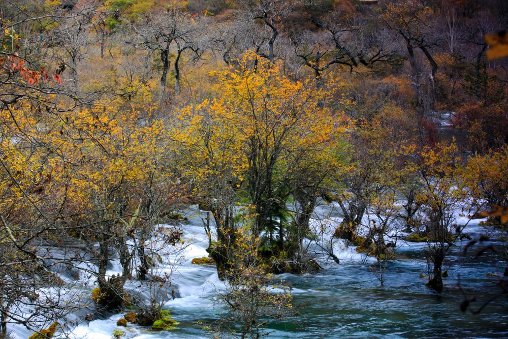 Tứ Xuyên Cửu Trại Câu 4 Ngày 3 Đêm