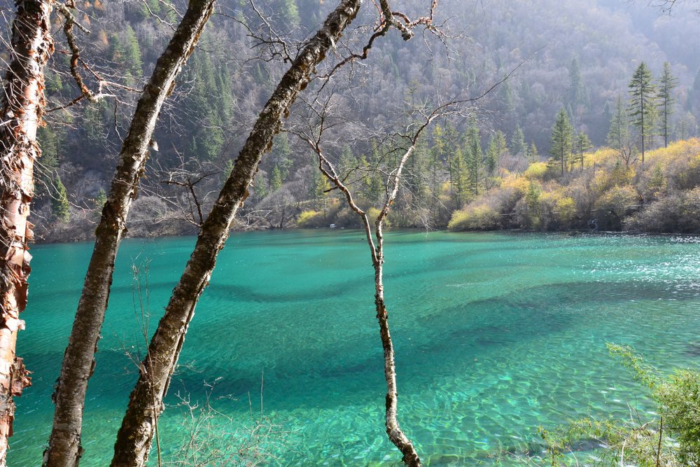 Chuyến Du Lịch Vòng Quanh Bắc Tứ Xuyên - Cửu Trại Câu 6 Ngày 