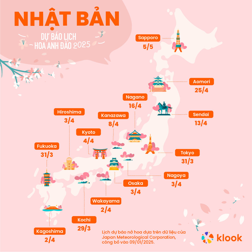 hoa-anh-dao-nhat-ban