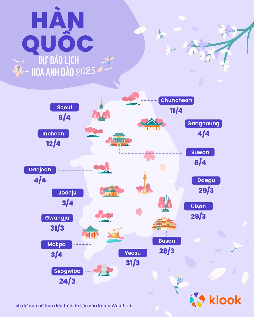 hoa-anh-dao-han-quoc