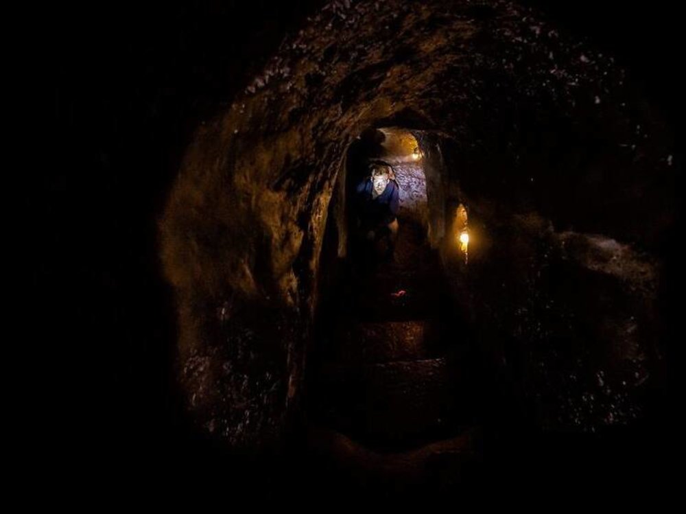 Mandai Wildlife Reserve Rainforest Wild ASIA Singapore - Critter Crawl