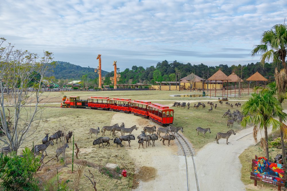 清遠長隆森林王國,五一假期,五一黃金週,五月假期,內地黃金週