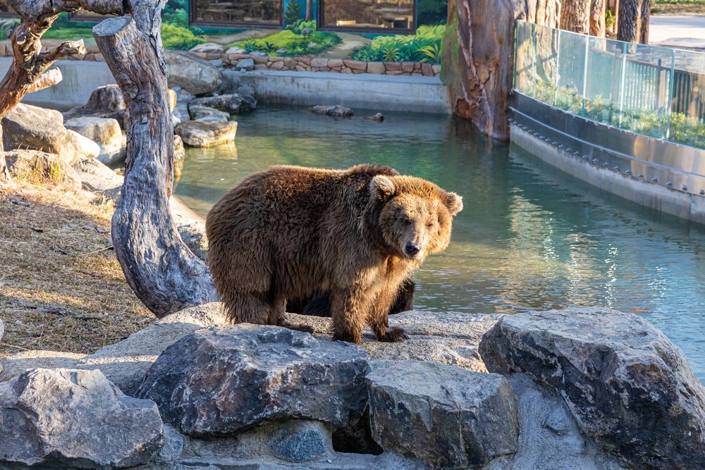 清遠長隆森林王國