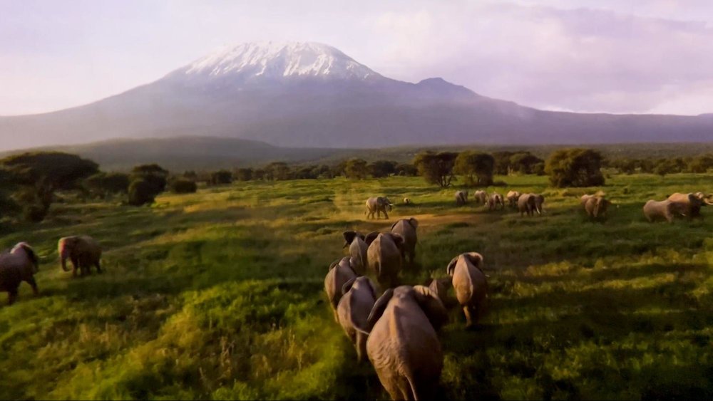 上海ディズニーランド　アトラクション　ソアリン・オーバー・ザ・ホライズン