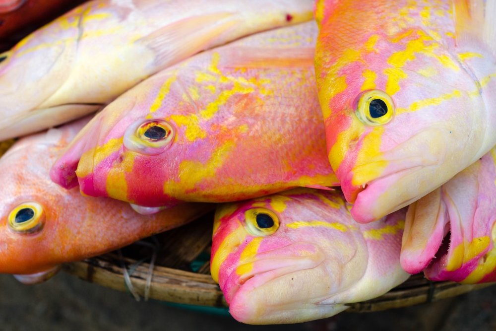 Hải sản tươi sống