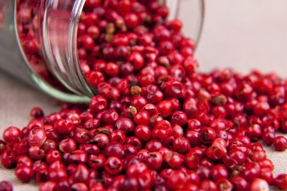 Vườn Tiêu Phú Quốc 