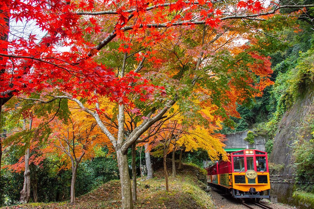 京都 金閣寺 鹿苑寺 京都自由行 金閣寺歷史 金閣寺門票 金閣寺交通 鹿苑寺歷史 鹿苑寺門票 鹿苑寺交通