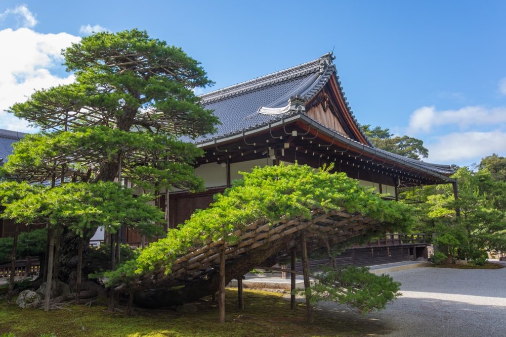 京都 金閣寺 鹿苑寺 京都自由行 金閣寺歷史 金閣寺門票 金閣寺交通 鹿苑寺歷史 鹿苑寺門票 鹿苑寺交通