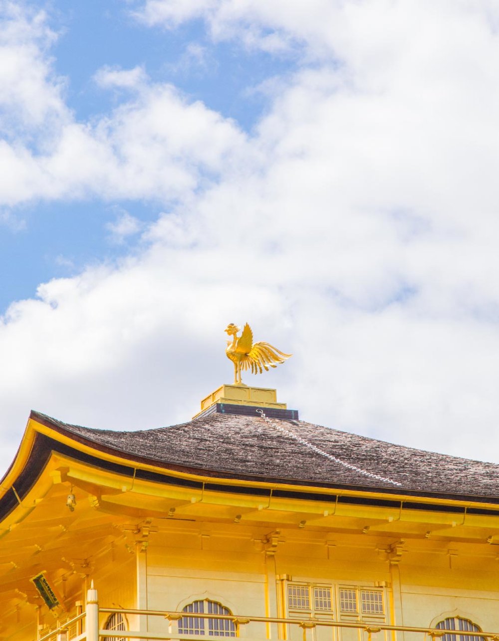 京都 金閣寺 鹿苑寺 京都自由行 金閣寺歷史 金閣寺門票 金閣寺交通 鹿苑寺歷史 鹿苑寺門票 鹿苑寺交通