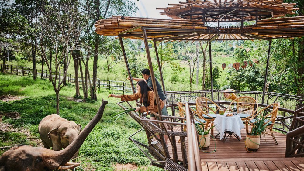 Klook Assessed Elephant Sanctuaries: Overall Camp Quality