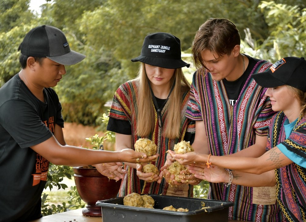 Klook Assessed Elephant Sanctuaries: Visitor Experience