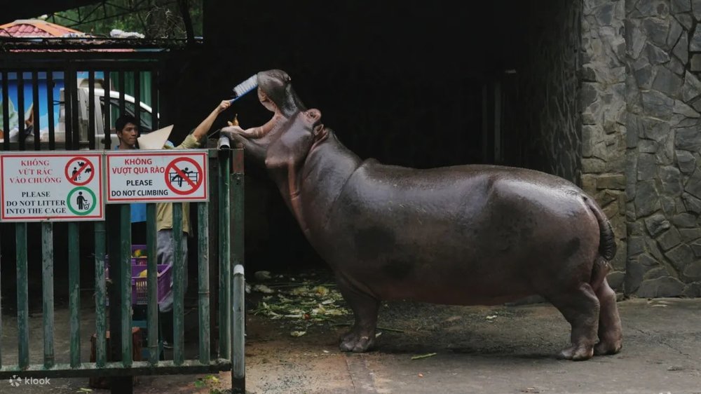 thao-cam-vien-sai-gon