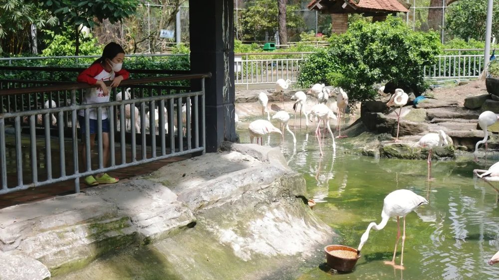 thao-cam-vien-sai-gon