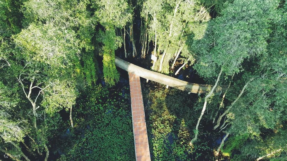 đi đâu chơi gần sài gòn