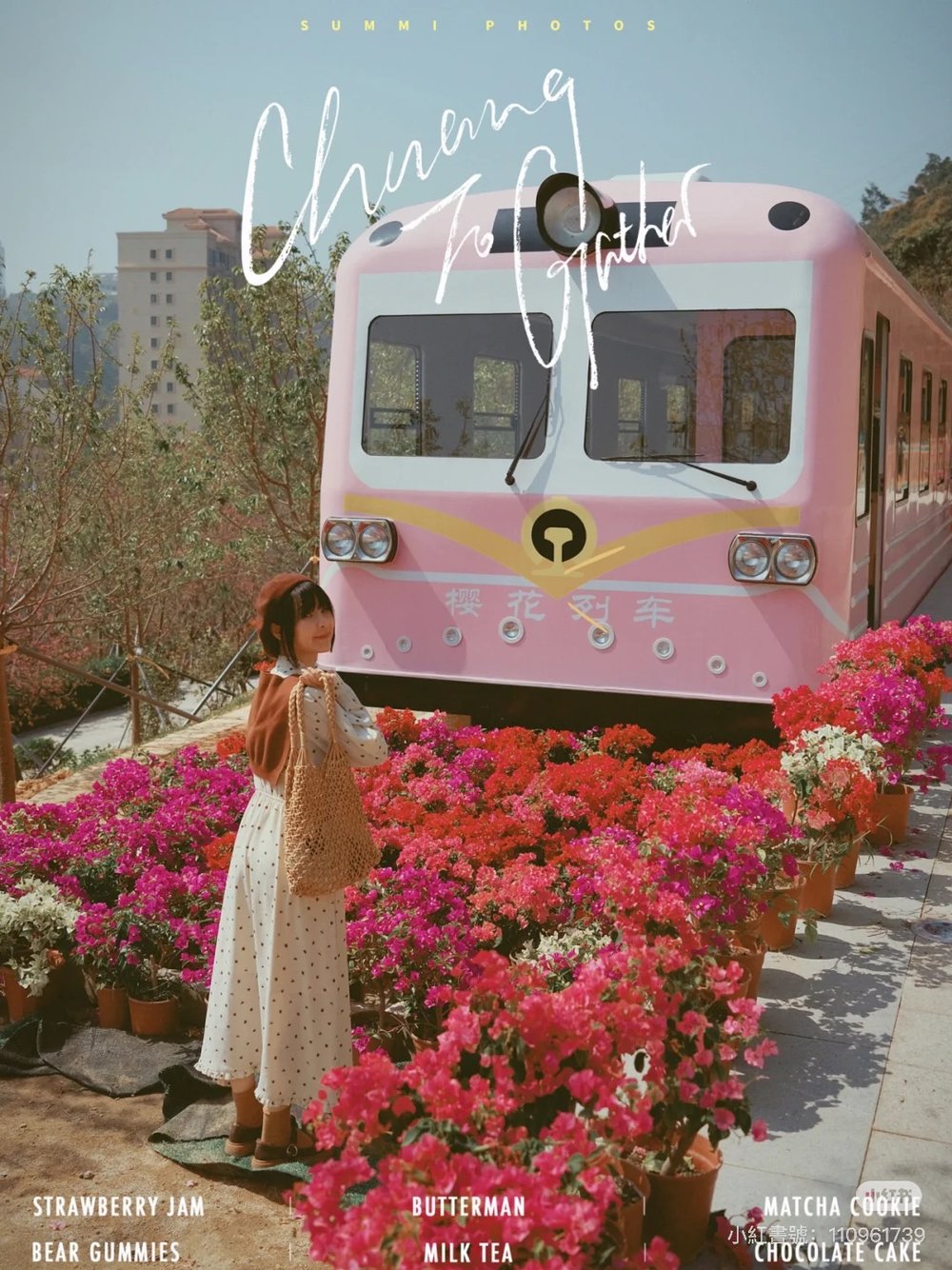 深圳櫻花,深圳賞櫻,深圳櫻花列車