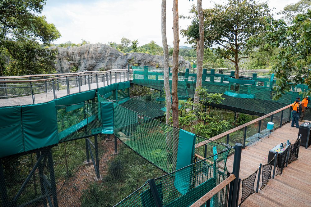 Rainforest Wild ASIA at Mandai Wildlife Reserve Singapore - AIA Vitality Bounce