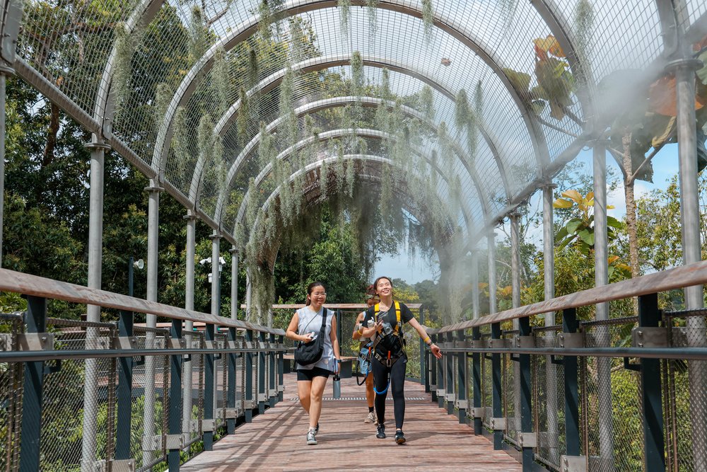 Rainforest Wild ASIA at Mandai Wildlife Reserve Singapore - Rock Cascade