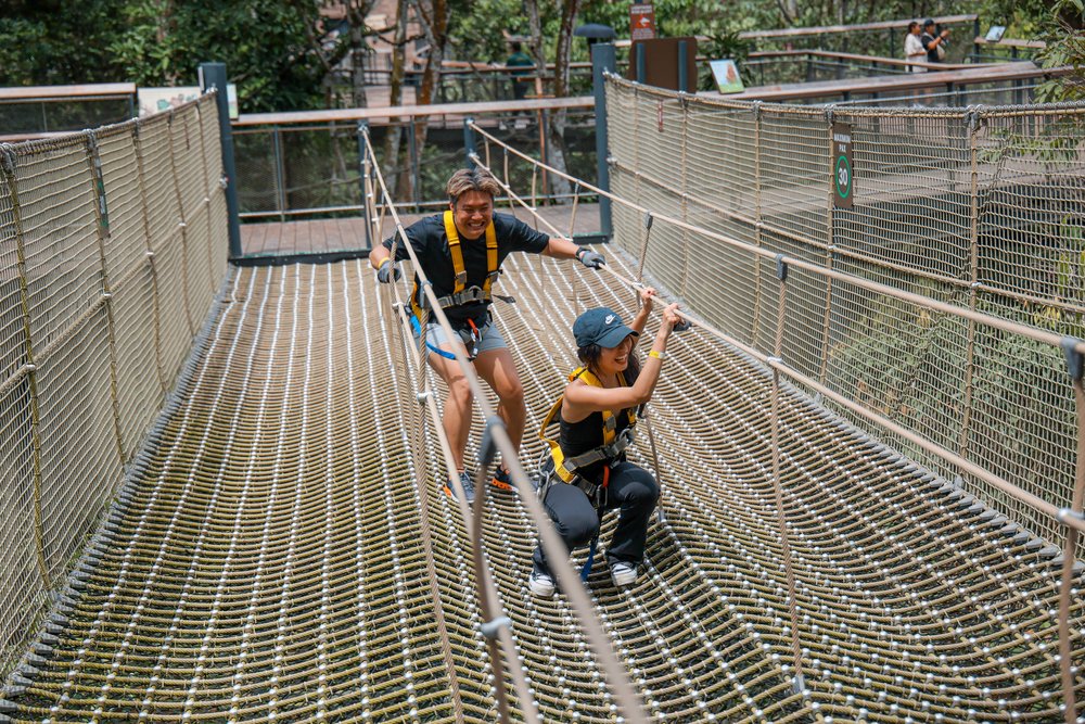 Rainforest Wild ASIA at Mandai Wildlife Reserve Singapore - Langur Walking Nets