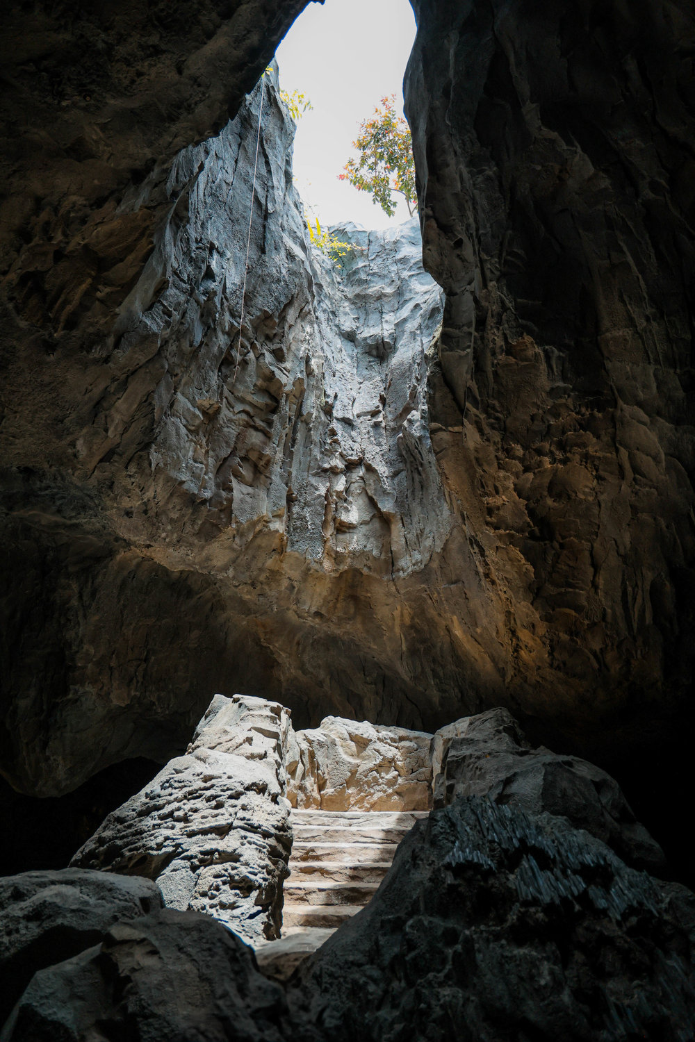 Rainforest Wild ASIA at Mandai Wildlife Reserve Singapore - The Oculus