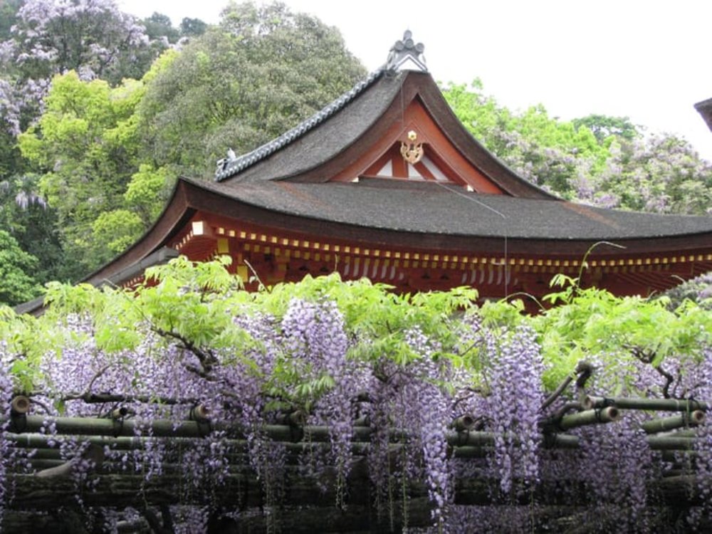 Nguồn ảnh: Charlotte Marillet Trên Flickr