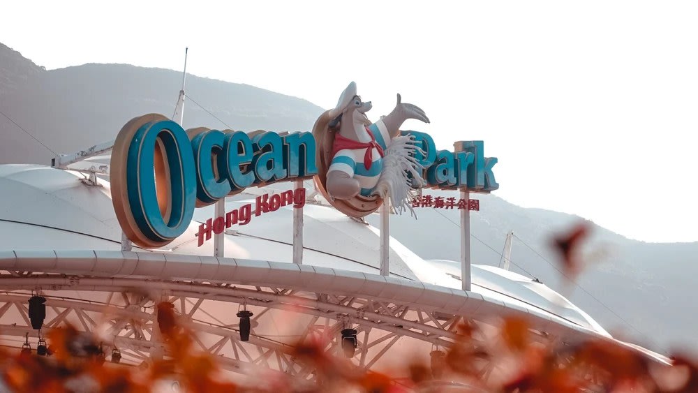 Meet the cutest animals at Ocean Park Hong Kong. Credits to @kelvinyan