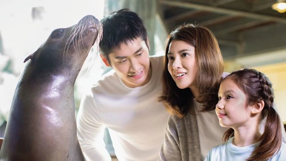 Get up close with your favourite sea creatures. Credits to @hkoceanpark