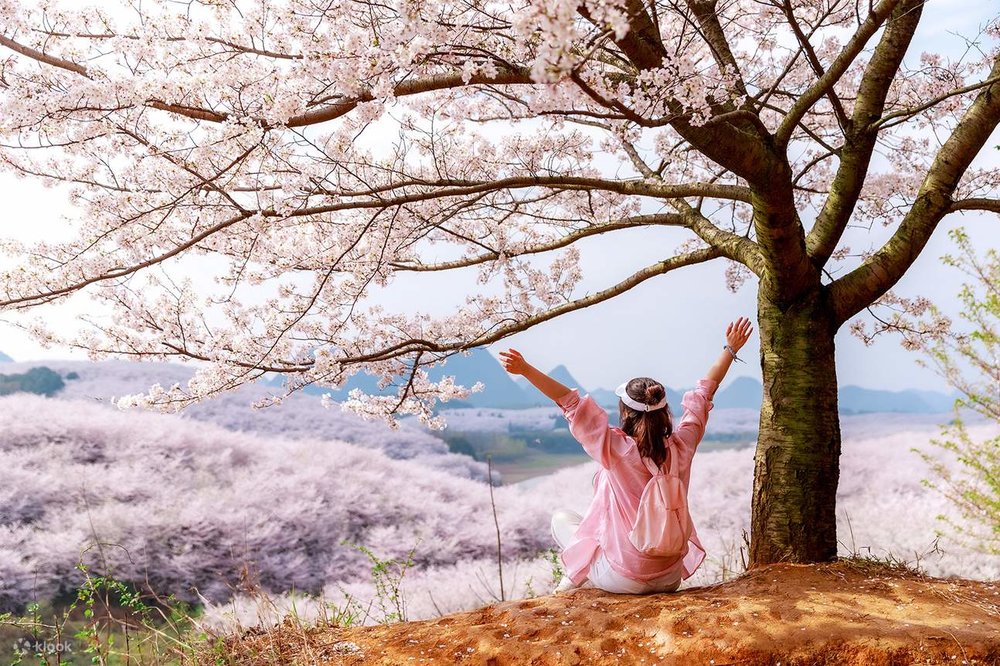 Mùa Xuân (Tháng 3 - Tháng 5) - Thời Tiết Mát Mẻ, Hoa Lá Đâm Chồi 