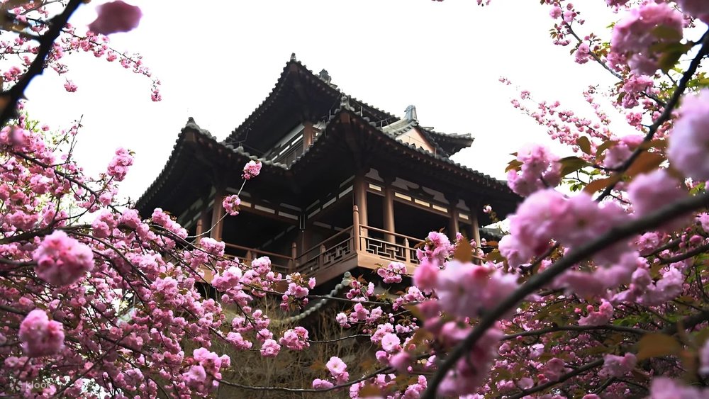 Mùa Xuân (Giữa Tháng 3 – Tháng 5)