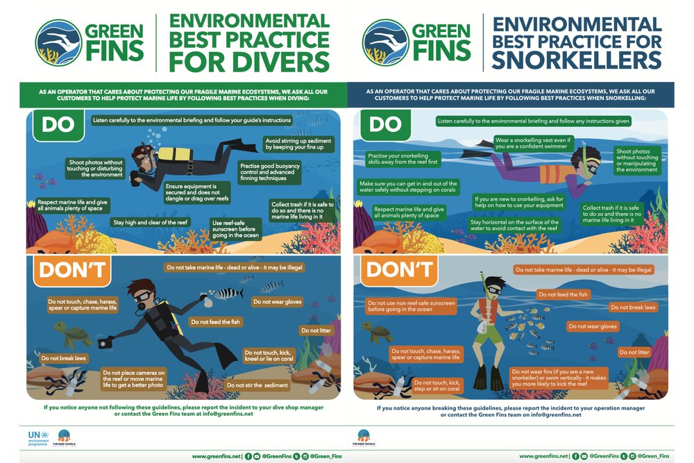 Diving and Snorkelling Do's and Don'ts