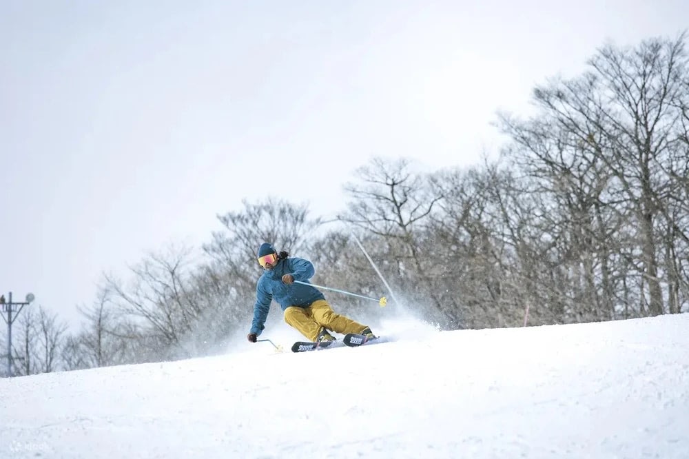 藏王樹冰玩法推薦:租雪具盡享滑雪樂趣