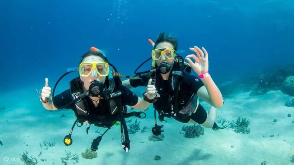 Lặn Bình Khí Tại Rạn San Hô Nha Trang