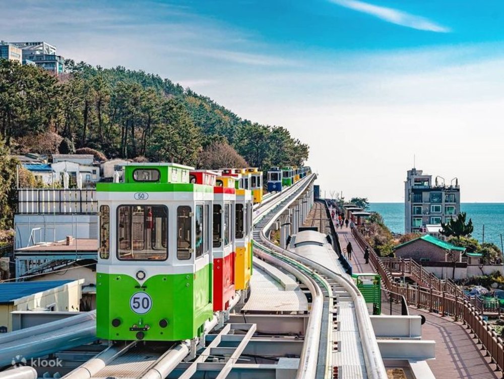 釜山賞櫻自駕遊