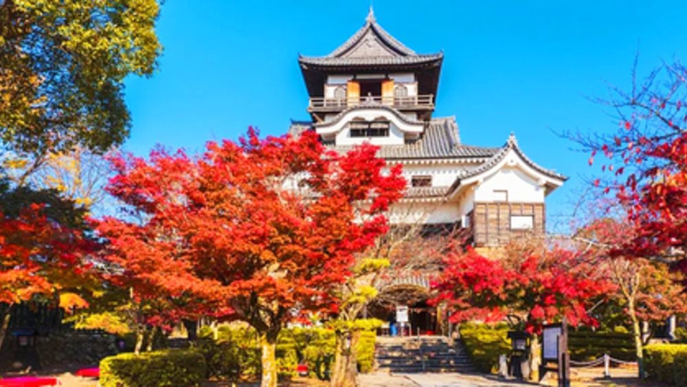 名古屋景點 名古屋自由行 名古屋交通 名古屋好去處 名古屋