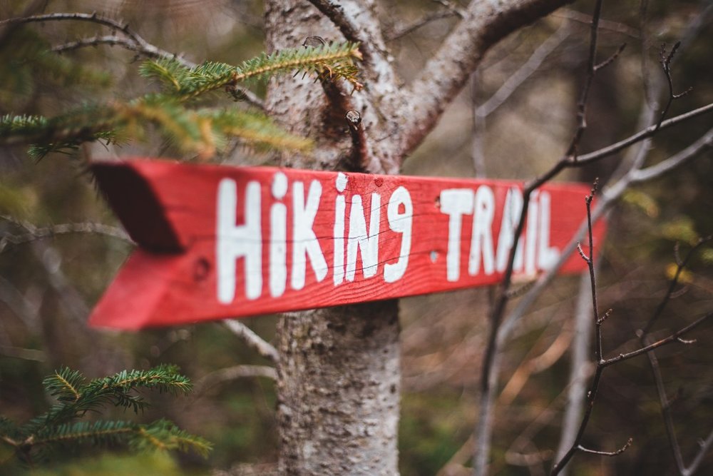 Các Lưu Ý Về Sức Khỏe Khi Đi Leo Núi Vào Mùa Hè