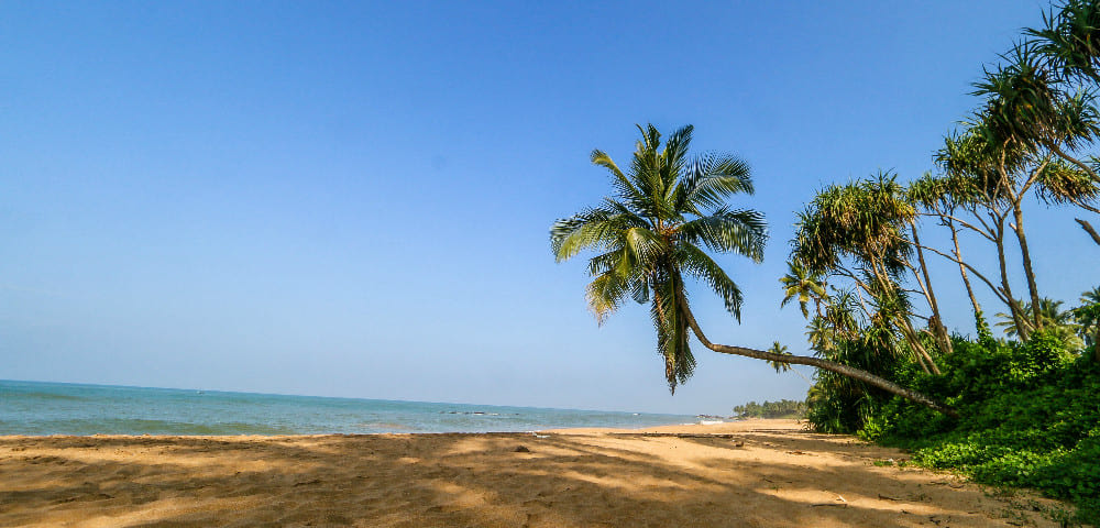 Bentota Beach (Source: Visit Sri Lanka)