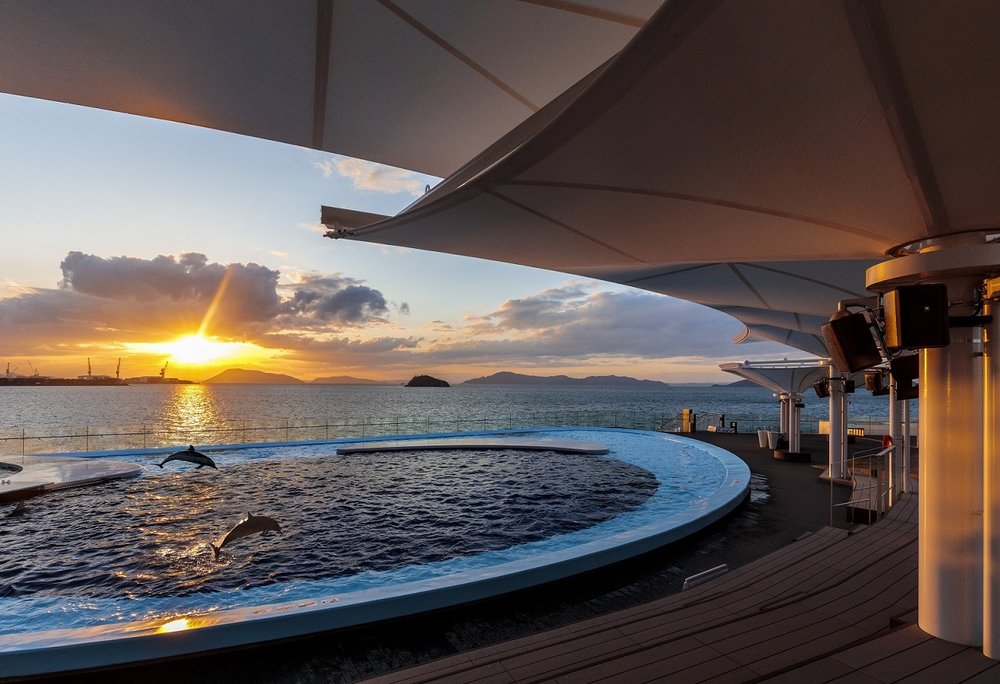 四國水族館必看特色 #4 海豚水池