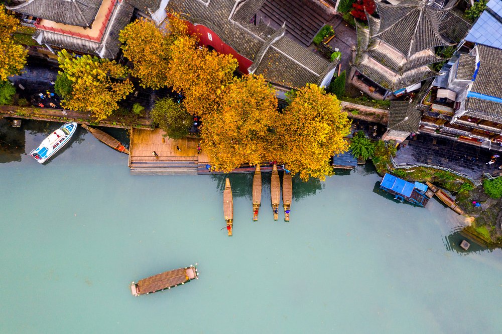 phuong-hoang-co-tran