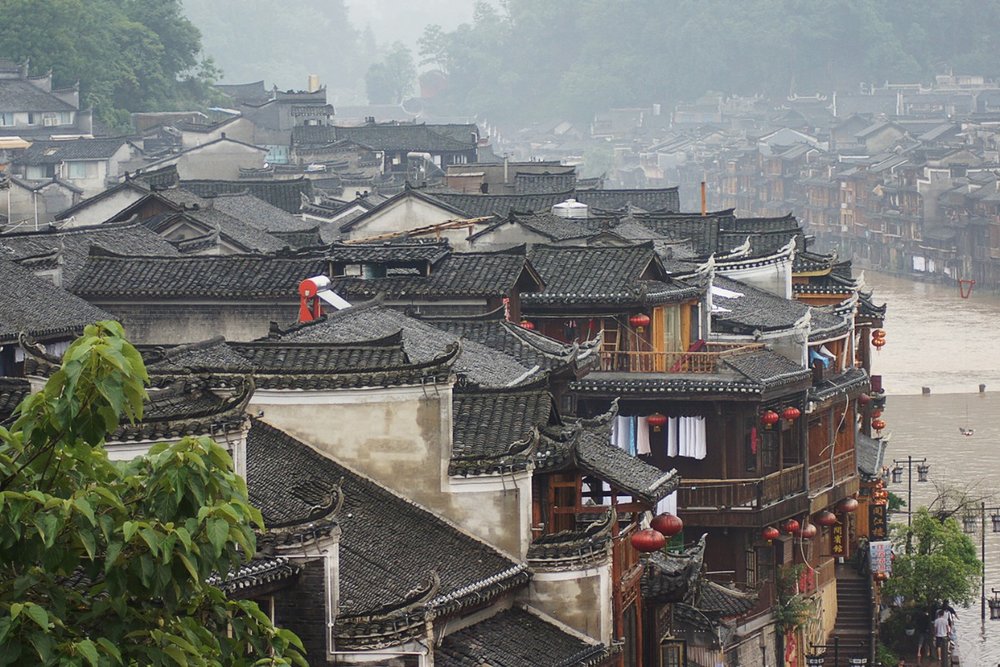 phuong-hoang-co-tran