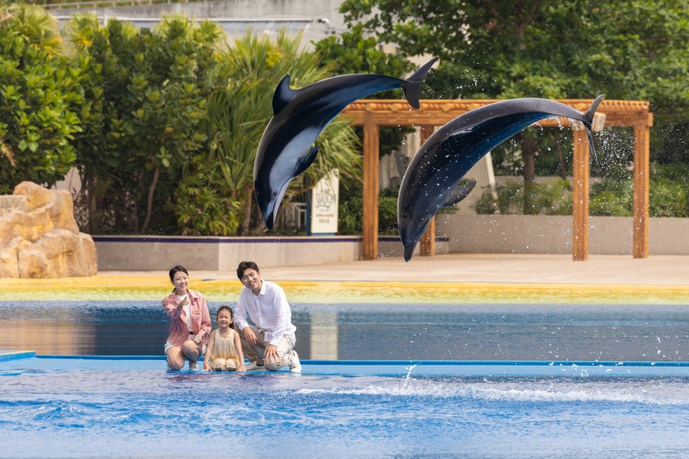 三亞亞特蘭蒂斯酒店 三亞 水底套房 水世界