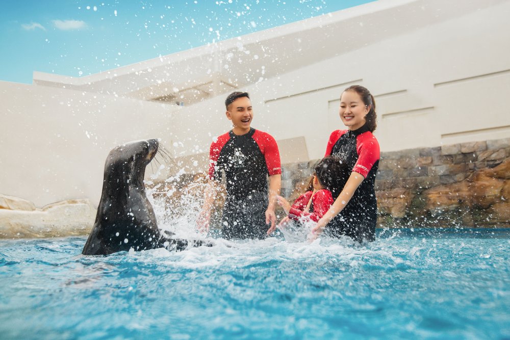 三亞亞特蘭蒂斯酒店 三亞 水底套房 水世界