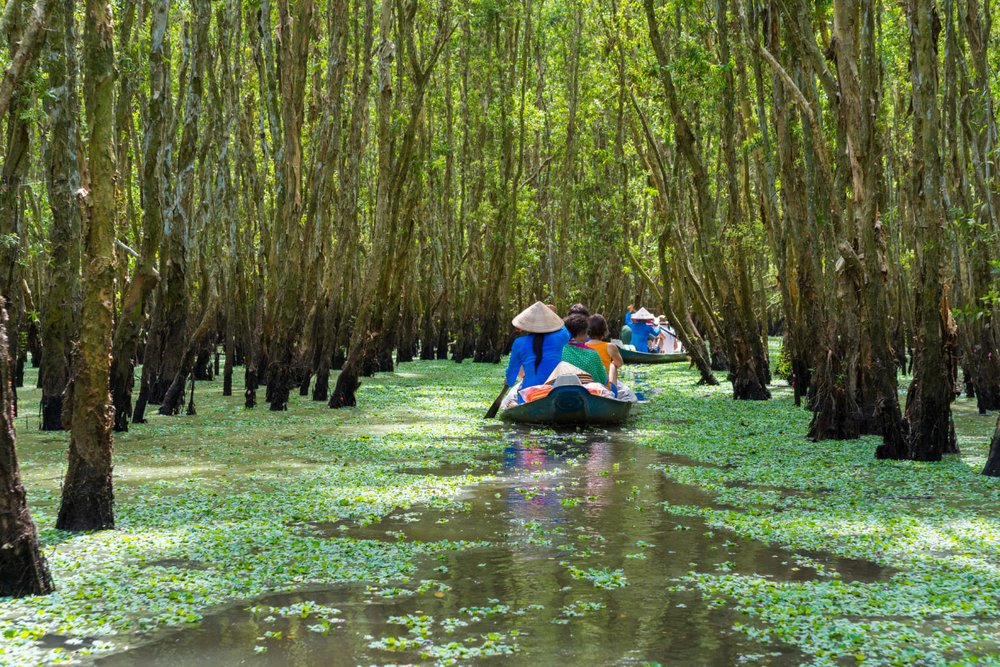 Tour 2 ngày 1 đêm khám phá chợ nổi Cái Răng và đồng bằng sông Cửu Long